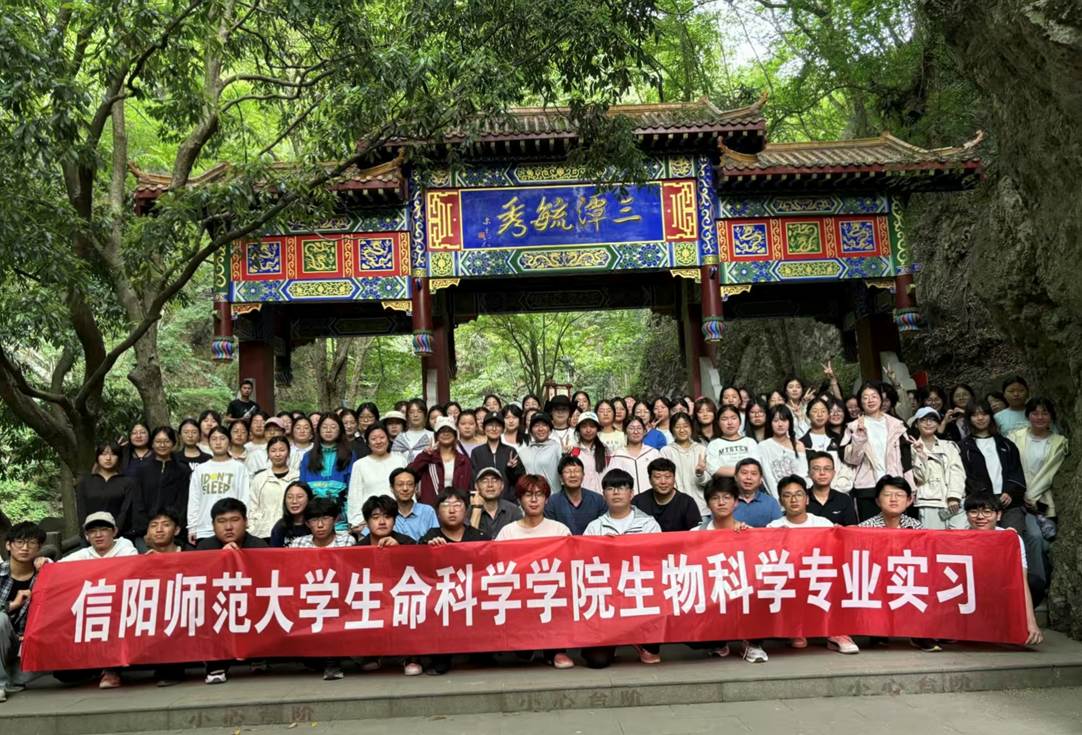 图示, 示意图

中度可信度描述已自动生成:ver1